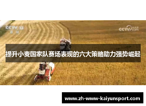 提升小麦国家队赛场表现的六大策略助力强势崛起