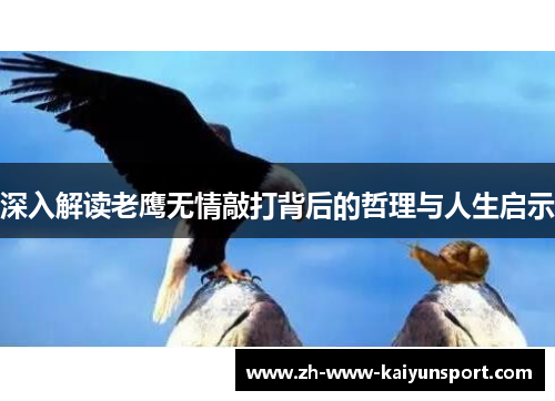 深入解读老鹰无情敲打背后的哲理与人生启示